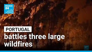 Portugal battles three large wildfires • FRANCE 24 English