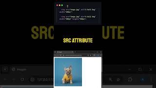 Day 5 of 30 days of HTML and CSS🚀. Image tags. #Learntocode #LearnToCode #webdevelopment #css #html
