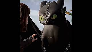 "Remember me"? #httyd #toothless #hiccuphaddock #httyd3 @Biansage