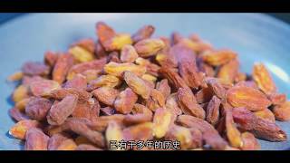 以枸杞子提取剂防治认知障碍症和青光眼