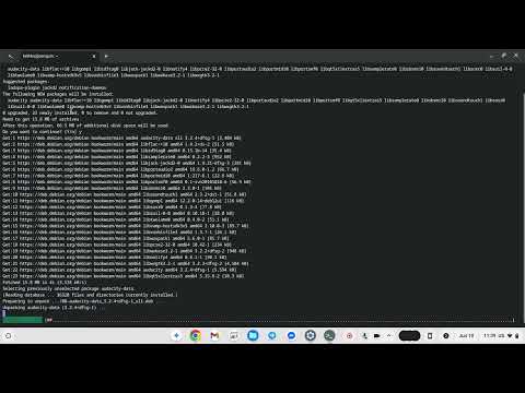 Installing Audacity on a Chromebook