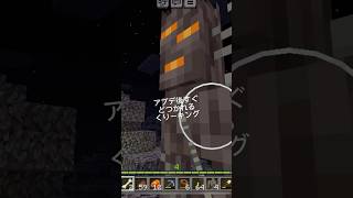 マイクラあるある( ´-ω-)σ共感したらいいね押してね！1万ブロック分移動した！！！！新バイオーム遠すぎぃぃ！！！！#minecraft #ペールガーデン #マイクラ #ゲーム実況 #ショート動画