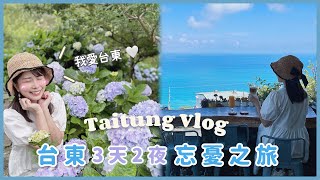 【Taitung Vlog👒】Best Sea View Cafe Ever｜What to Eat in Taitung!!