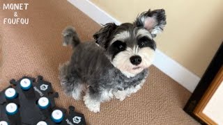 When I asked for more details about my dog, I got a surprising, accurate response.