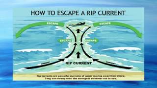 How to Swimsafe in the Ocean
