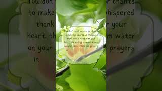 It's the little things that touch our hearts and add meaning to our lives...