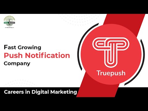 Fast Growing Digital Marketing Company | Growth story of Truepush | SKILL MONKS