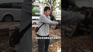 歐美流行枯樹籬，為何在台南施作？