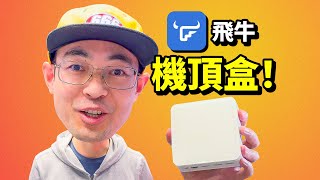 80块捡垃圾矿难斐讯N1改造飞牛Nas影视高清电视盒子