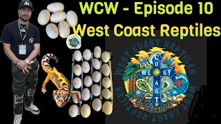 Overall update/GTP Egg Binding - WCW Reptile Podcast - Episode 10 - West Coast Reptiles