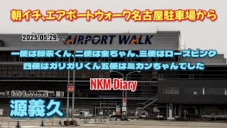 朝イチ、エアポートウォーク名古屋駐車場から…一便は緑茶くん、二便は金ちゃん、三便はローズピンク、四便はガリガリくん、五便はミカンちゃんでした…KC130Hも離陸しました