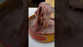 1 YEAR OLD EXPIRED SURSTRÖMMING