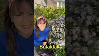 Learn Tagalog with Me!  Things found in nature #learnfilipino #languagelessons #bilingualresources