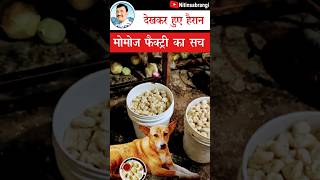मोहाली की मोमोज फैक्टी केस का सच | Momos Factory Mohali Punjab Case | Mohali Momos #Shorts
