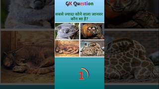 gk Question ll Amazing GK #gk #gkquiz #tranding #shortsfeed #facts #youtubeshorts
