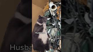 Hubby is CONFUSED! #basementwaterproofing #floodalert #sump #basementdefender #catmemes #howto