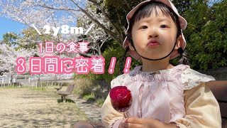 【1日の食事】3日間に密着【簡単レシピ】