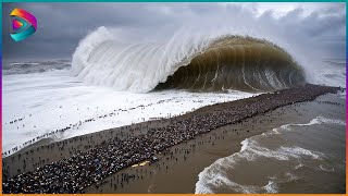 One in A Billion Moments in Nature | Best Of The Year