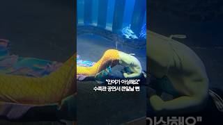 '인어 기절'…수족관 머메이드 공연 말썽 #shorts