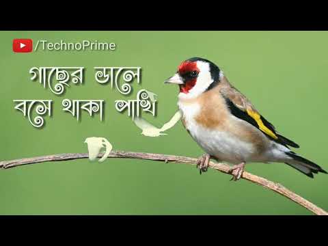 Motivational Video Bangla || Inspirational Short Status Video #Shorts