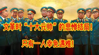 文革时“十大元帅”的悲惨结局！只有一人幸免于难！#林彪#彭德怀#贺龙#毛泽东