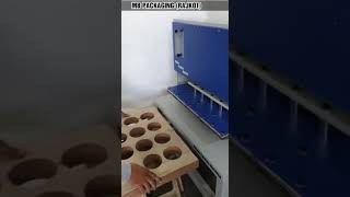 Blister scrubber packing Machine Rajkot