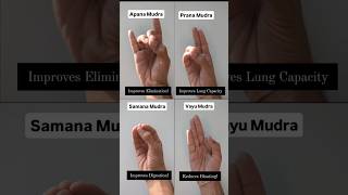 Easy Mudras for Healthy You! #mudra #yoga #energy #health #healing #hand #prana #chakras #nadi #diy