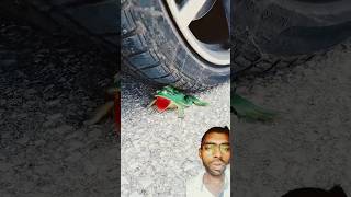 Crushing tomamo and boll #funny #comedy #cartoon #crushing #cartoonvideo #kids