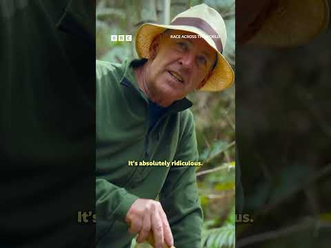 50 Seconds of Brian and Melvyn being legends - BBC