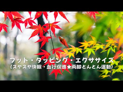 フット・タッピング・エクササイズ（スヤスヤ快眠・血行促進★両脚とんとん運動）