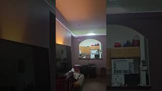 Ring fire alarm test #homesecurity #alarm #ring #homesecuritysystem  #firealarm