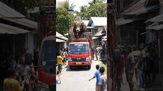 Truk Bawa Sapi Raksasa! Persiapan Kurban Idul Adha Terbesar Tahun Ini - Visualisasi AI