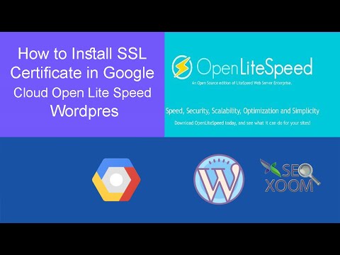 How to Install SSL Certificate in Google Cloud Open Lite Speed Wordpres