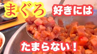 【清水港　魚市場食堂】税込1,000円⁉︎盛って盛って盛りまくれ‼︎ 漬けまぐろいっぱい丼　清水魚市場　河岸の市　清水港水上バス　静岡県静岡市清水区