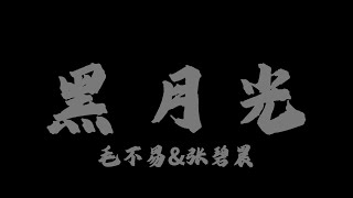 毛不易&張碧晨 - 黑月光『浮生小 幻夢大』【Lyrics Video】