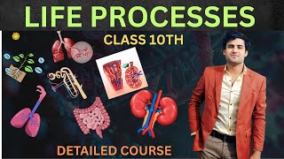 Life Process Class 10th Science Biology💯🔥#Nutritents#NCERTChapter5#BoardExam2026