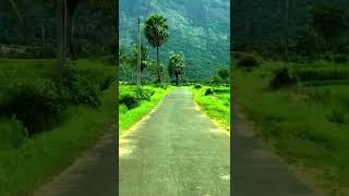 Palakkad tourist place #Seetharkund🌴 #shorts #shortvideo #kerala #palakkad