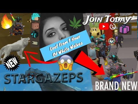 LOOT FROM 1 HOUR OF WHITE WOLVES - MASSIVE $125+ Giveaway!! StarGaze-PS Brand NEW Custom RSPS