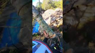 #treeclimbing #rigging #climbing #arborist #lifestyle #workout #work #arboriculture #chainsaw #cut