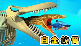 海底大獵殺：海洋遠古遺骸蘇醒，白金鯨骨獸登場，吞噬萬物！丨DongMuBuSaa Channel
