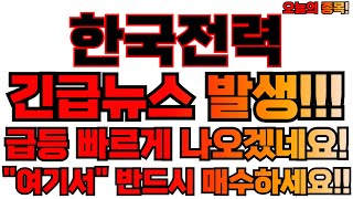 한국전력 주가전망 지금 사도 될까? 전문가의 의견 정리