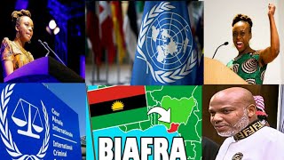 BREAKING NEWS: Chimamanda Just Put Biafra on the Map at the UN Summit!
