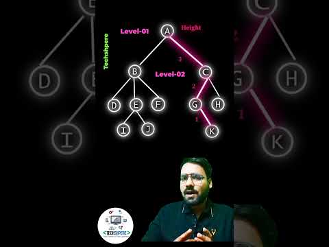 BST Height in 1 Line | Level Count - 1 Trick!🔥 #bst #interview #python #programming