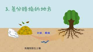 土壤的神奇功能
