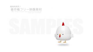著作権フリー動画素材／商用利用可！／にわとり（酉）ジャンプ（白背景）ループ