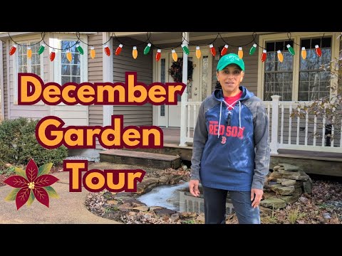 Garden Walkabout & 2025 Garden Goals || Budget Gardening