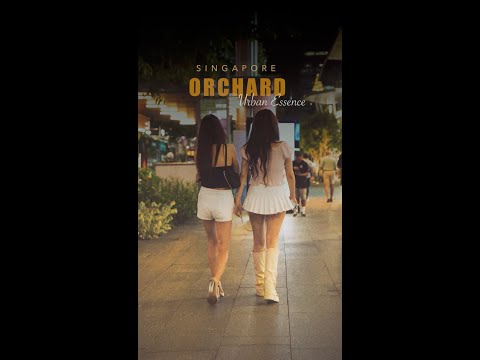 Orchard Road Night Experience | Travel bites | #exploresingapore #singaporelife #visitsingapore