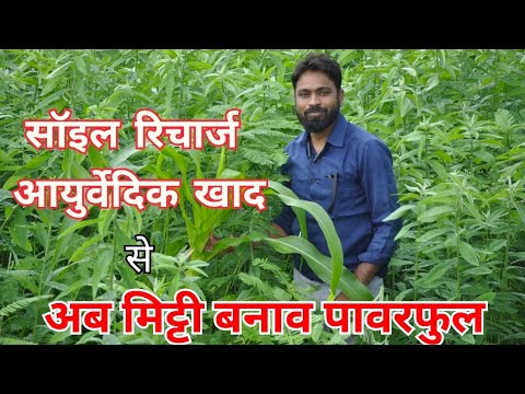 सॉइल रिचार्ज आयुर्वेदिक खाद #soil #orange #agriculture #fruit