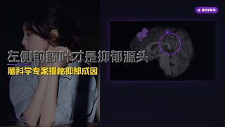 脑科学解密抑郁症：左侧前额叶的秘密与我的亲身康复之路