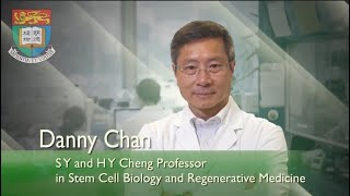 S Y and H Y Cheng Professorship in Stem Cell Biology and Regenerative Medicine